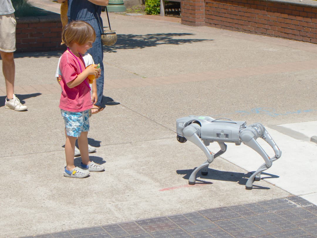 Human-AI Interaction