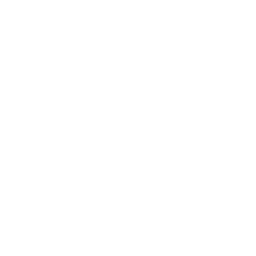 IF Lab Logo